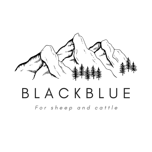 BLACKBLUE