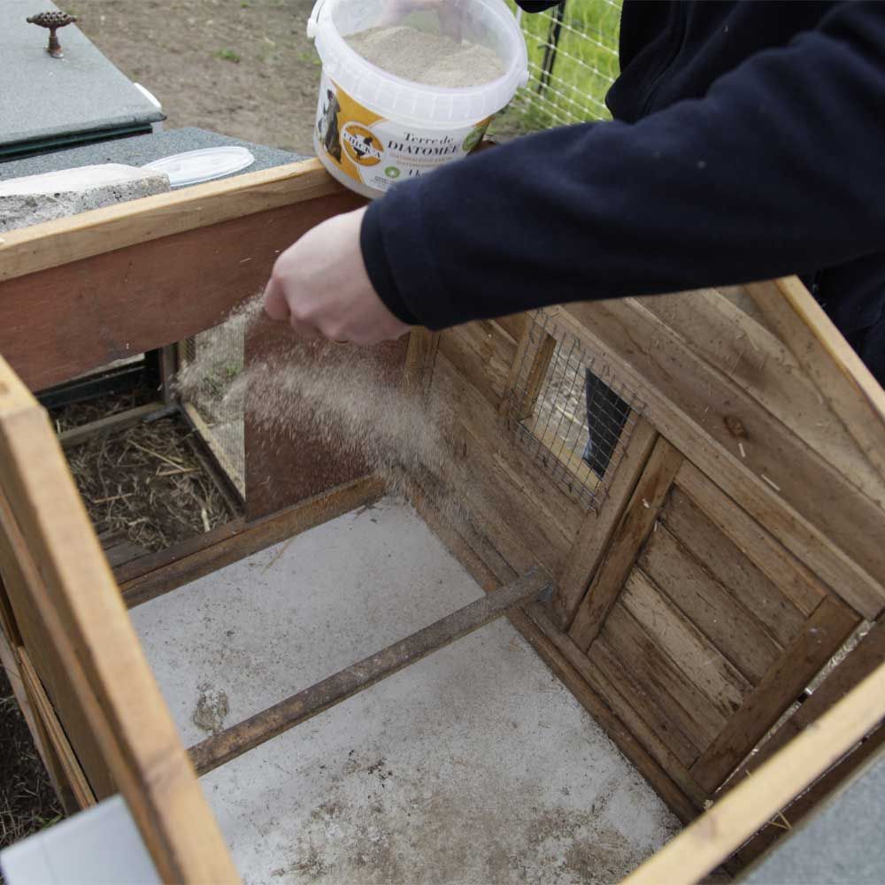 Terre de diatomée (non calcinée) 1 kg