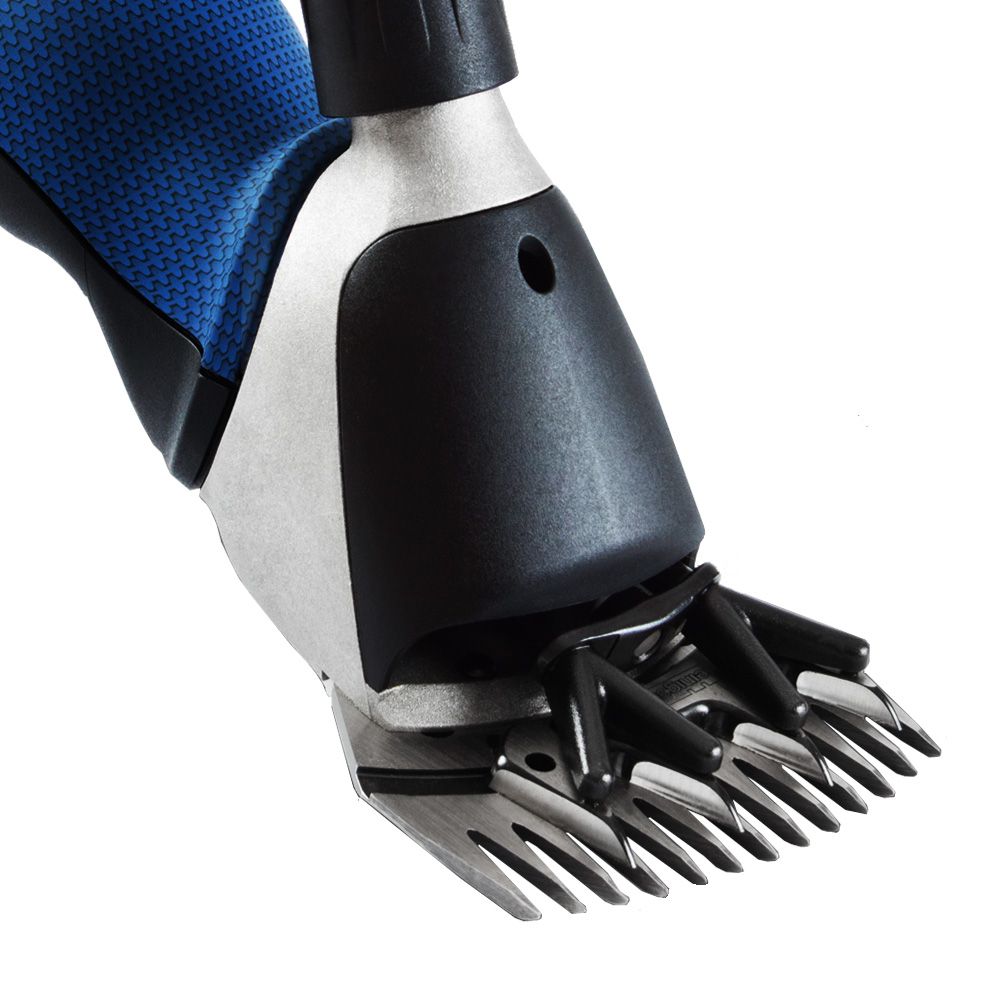 Tondeuse Heiniger Xpert avec un bon d'affûtage et un bon pour un jeu de peignes