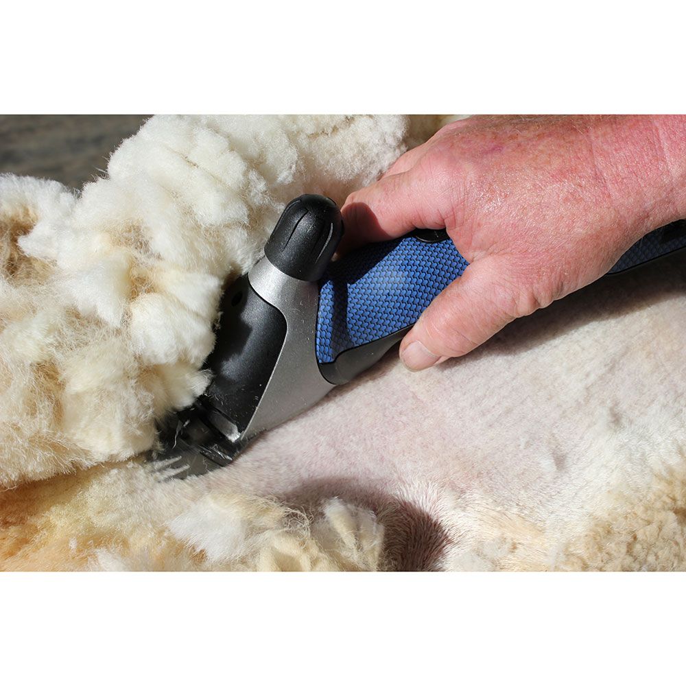  2 speeds XPERT HEINIGER clipper for sheep  