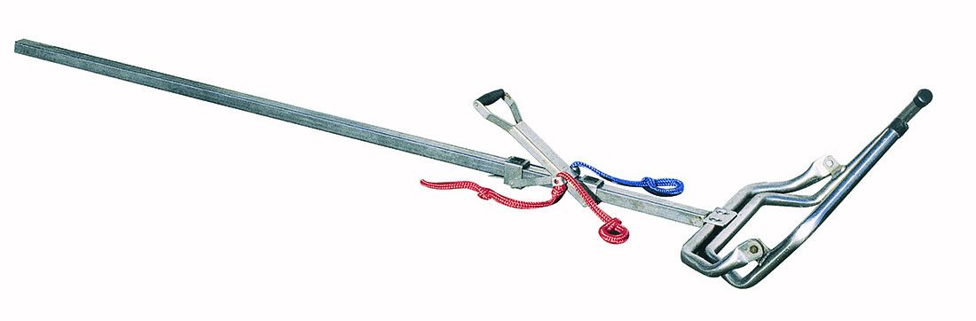 Calving jack beef cattle