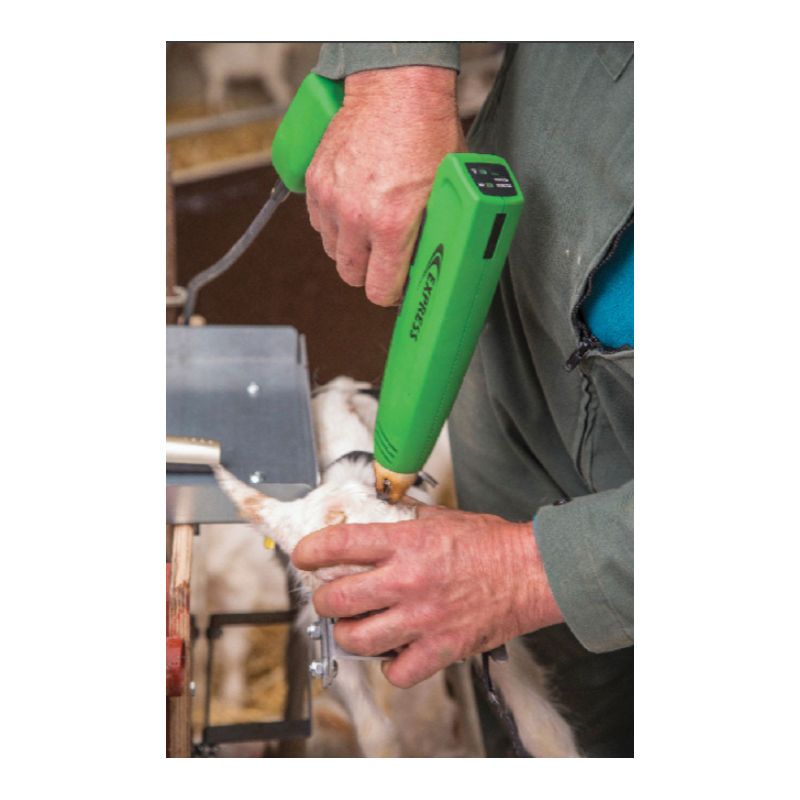 Kosmos-Enthorner Für Ziegen Express Farming