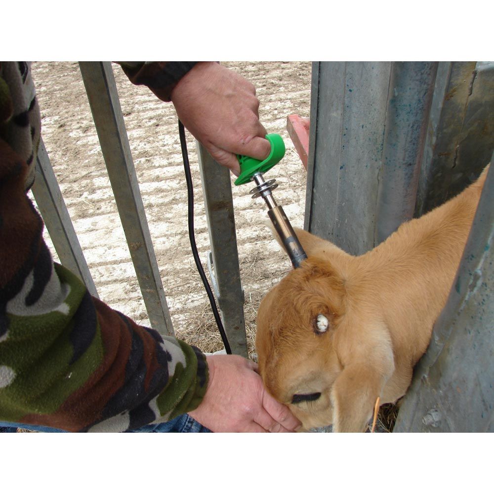 Elektrischer Enthorner mit SAROS-Transformator