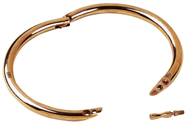 Brass bull rings  80 mm