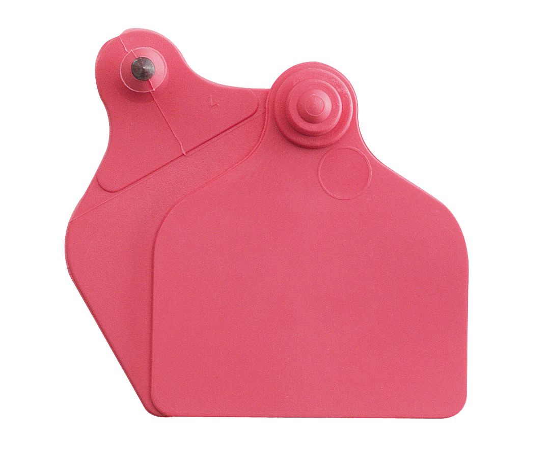 Boucles de marquage Ukal Flex maxi+maxi nue rouge x20