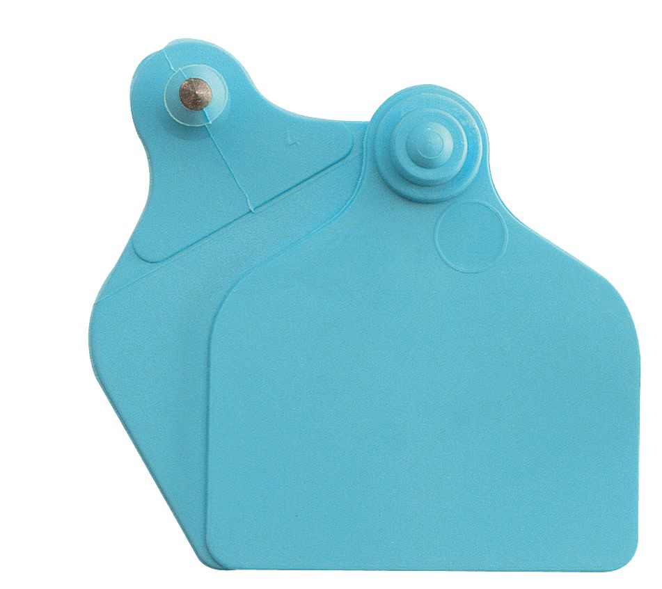 Boucles de marquage Ukal Flex maxi+maxi nue bleue x20