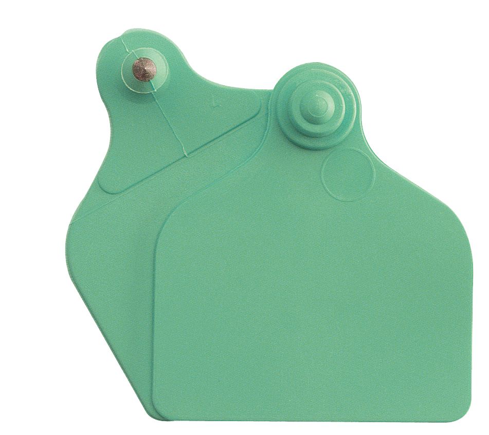 Boucles de marquage Ukal Flex maxi+maxi nue vert x20