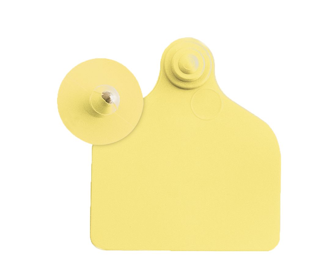  UKAFLEX MAXI + BUTTON eartags yellow x20