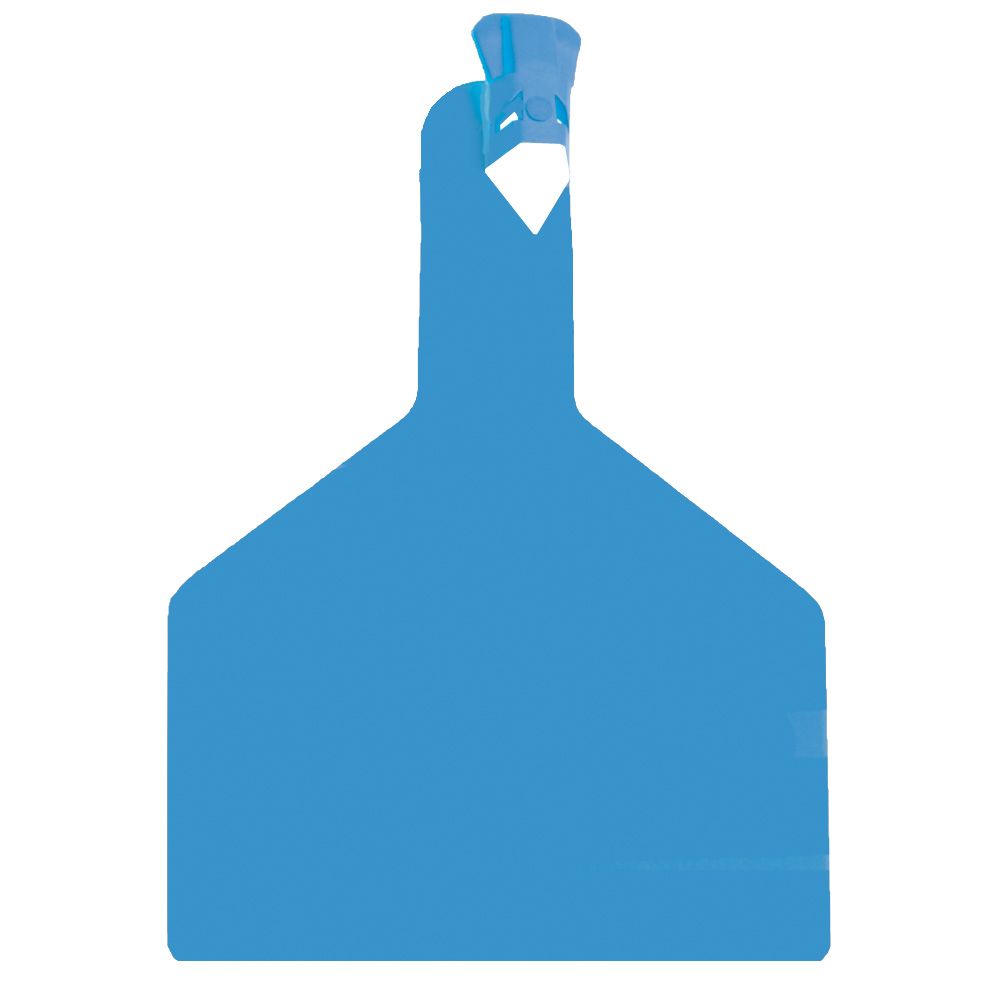 Boucle une pièce ZTAG BOVIN bleue x30