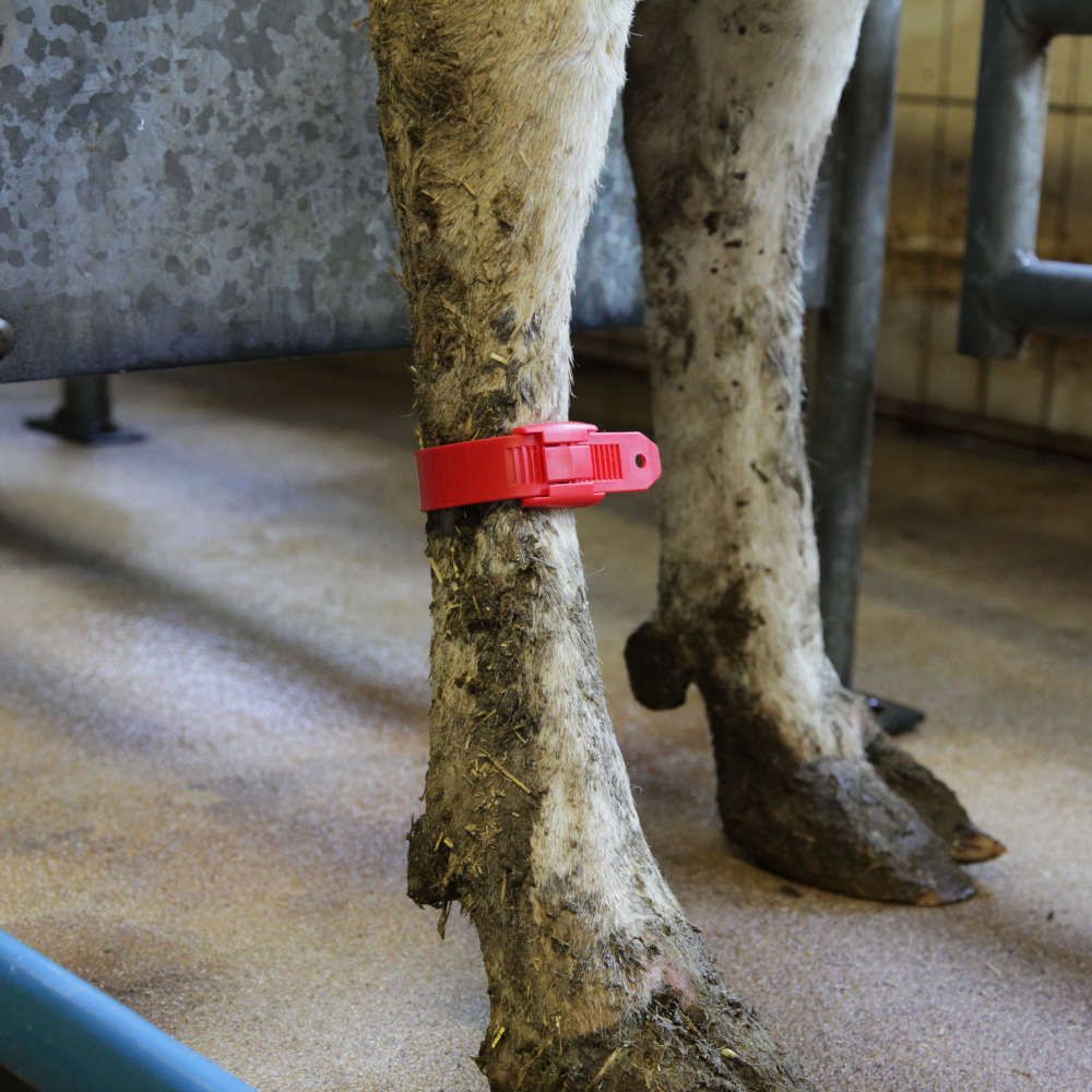 10 bracelets verts en plastique