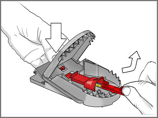 8*2 Pièges à souris SUPERCAT PRO avec présentoir - SWISSINNO