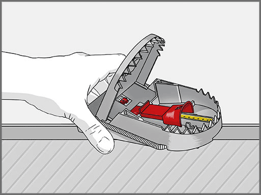 8*2 Pièges à souris SUPERCAT PRO avec présentoir - SWISSINNO