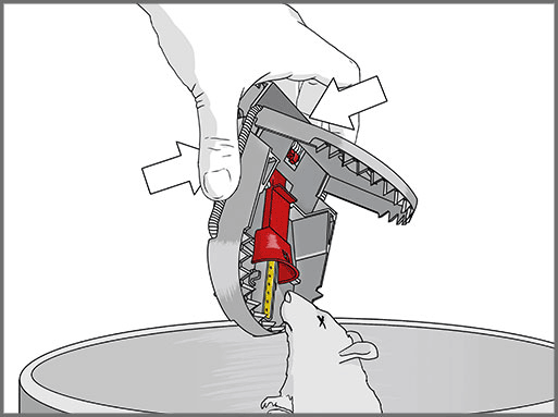 8*2 Pièges à souris SUPERCAT PRO avec présentoir - SWISSINNO