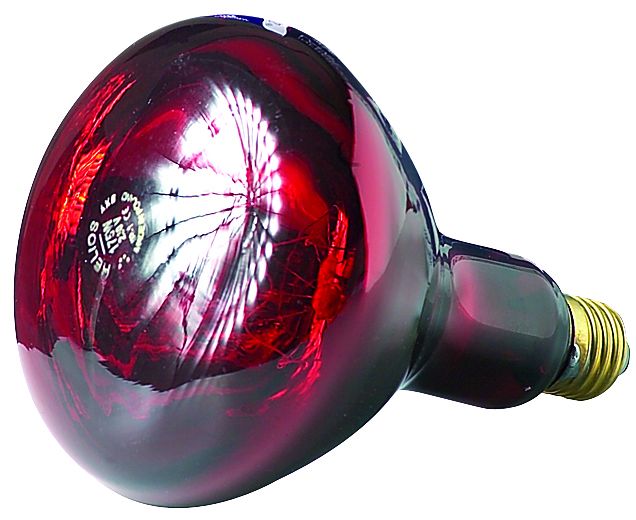 Ampoule Infrarouge Helios 175 W, rouge