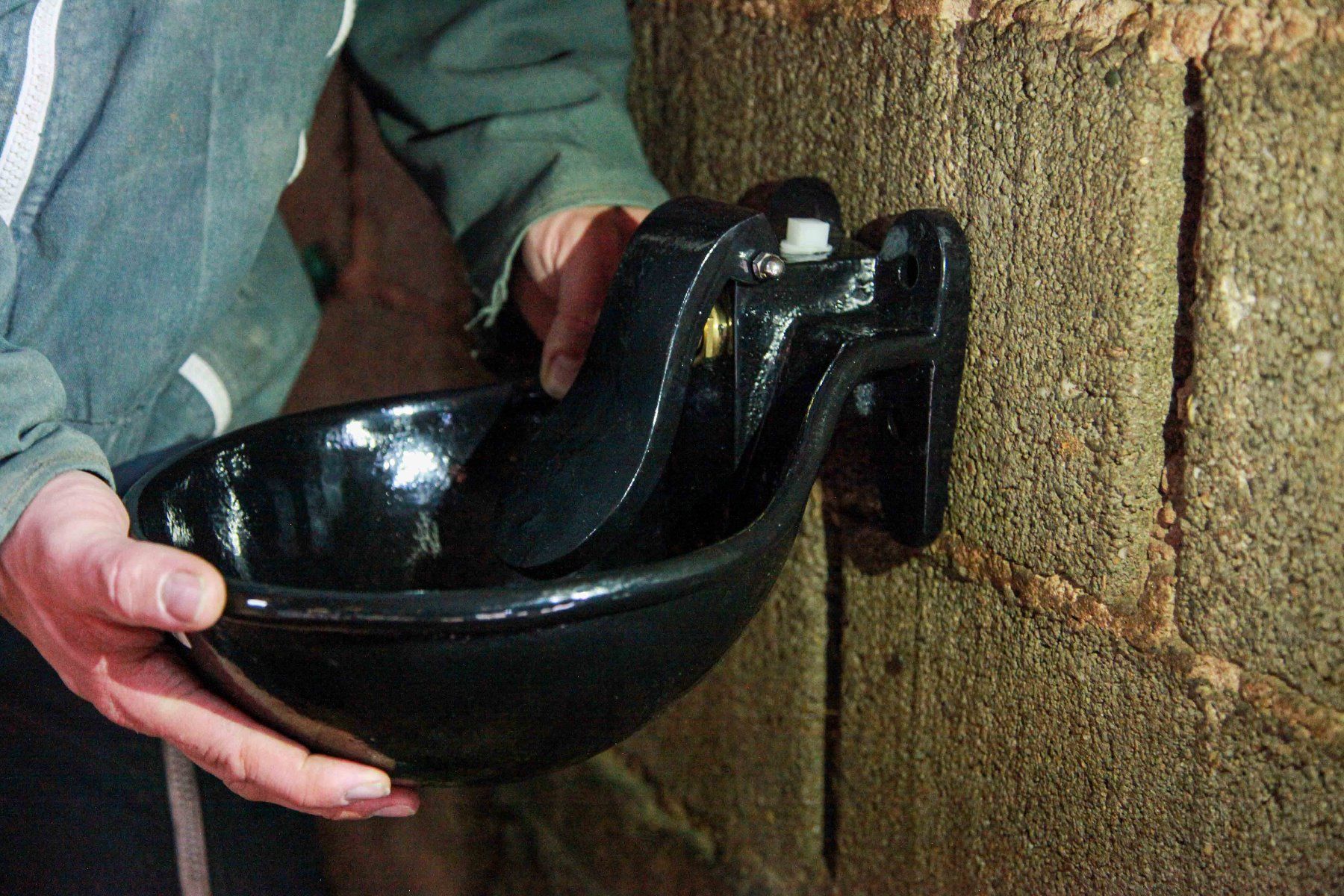 Drinking bowl with pressure tongue made of cast iron, enlarged mode