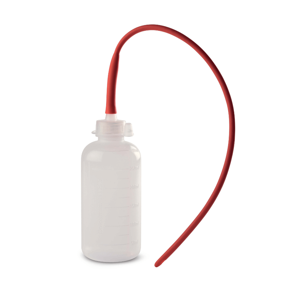 Sonde pélican pour agneau