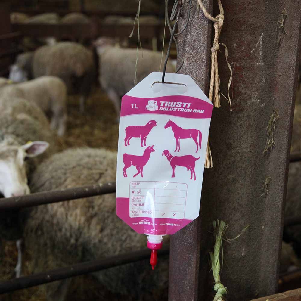 50 1-litre ANTAHI colostrum bags for lambs