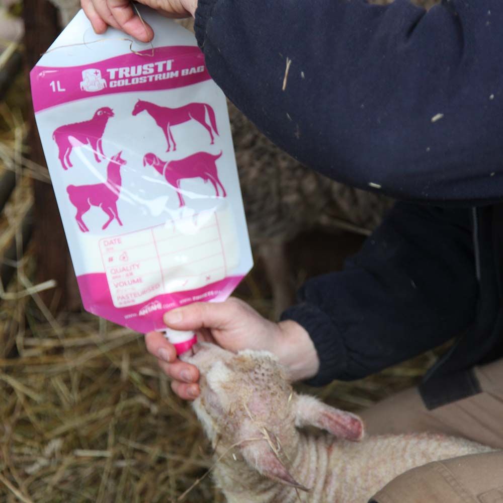 50 1-litre ANTAHI colostrum bags for lambs