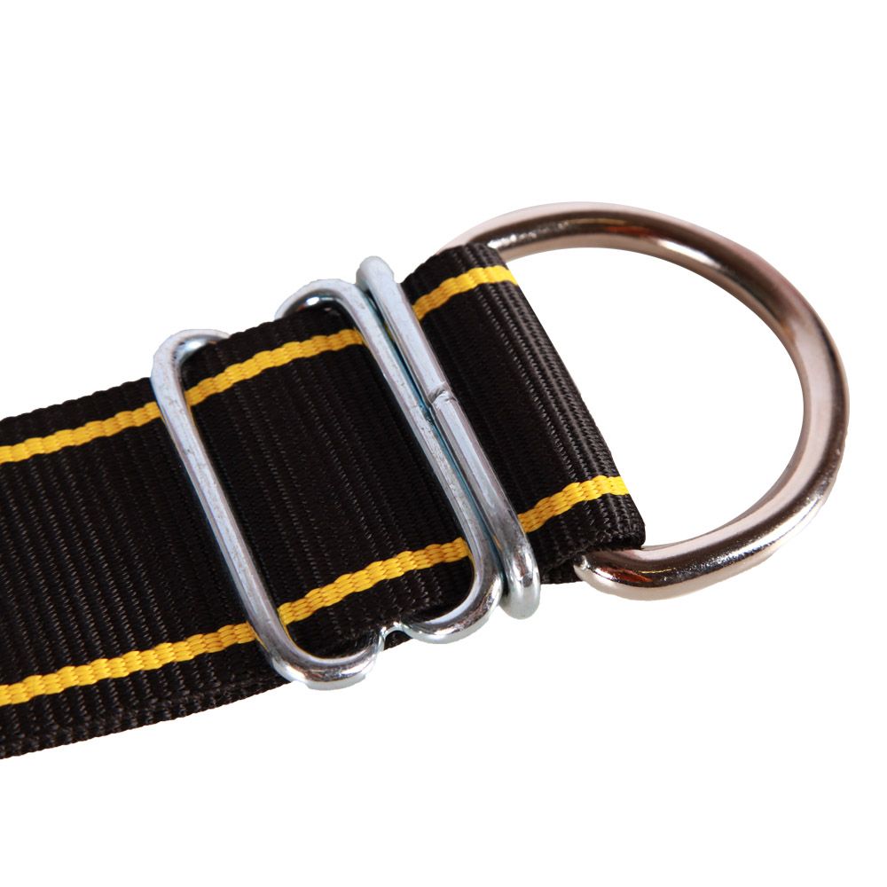 Collier nylon pour taureau 1,70m