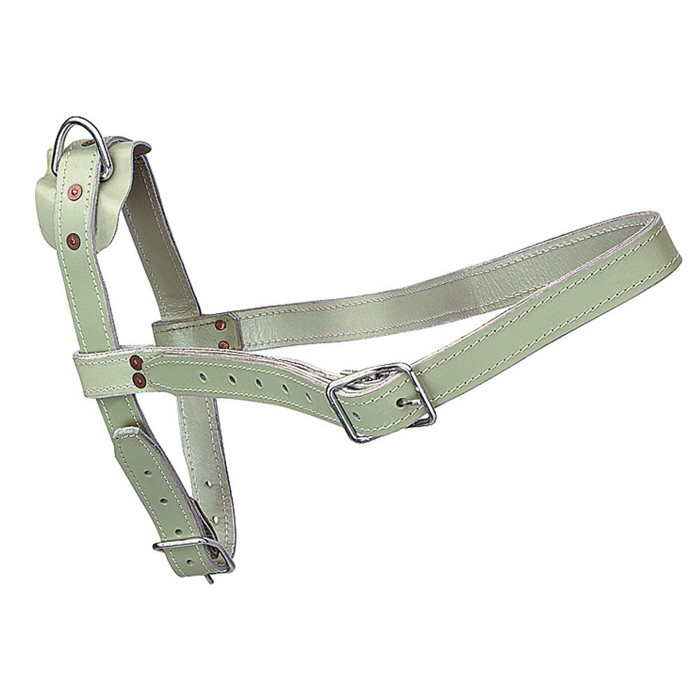 Bullenhalfter Leder Doppelt Grau