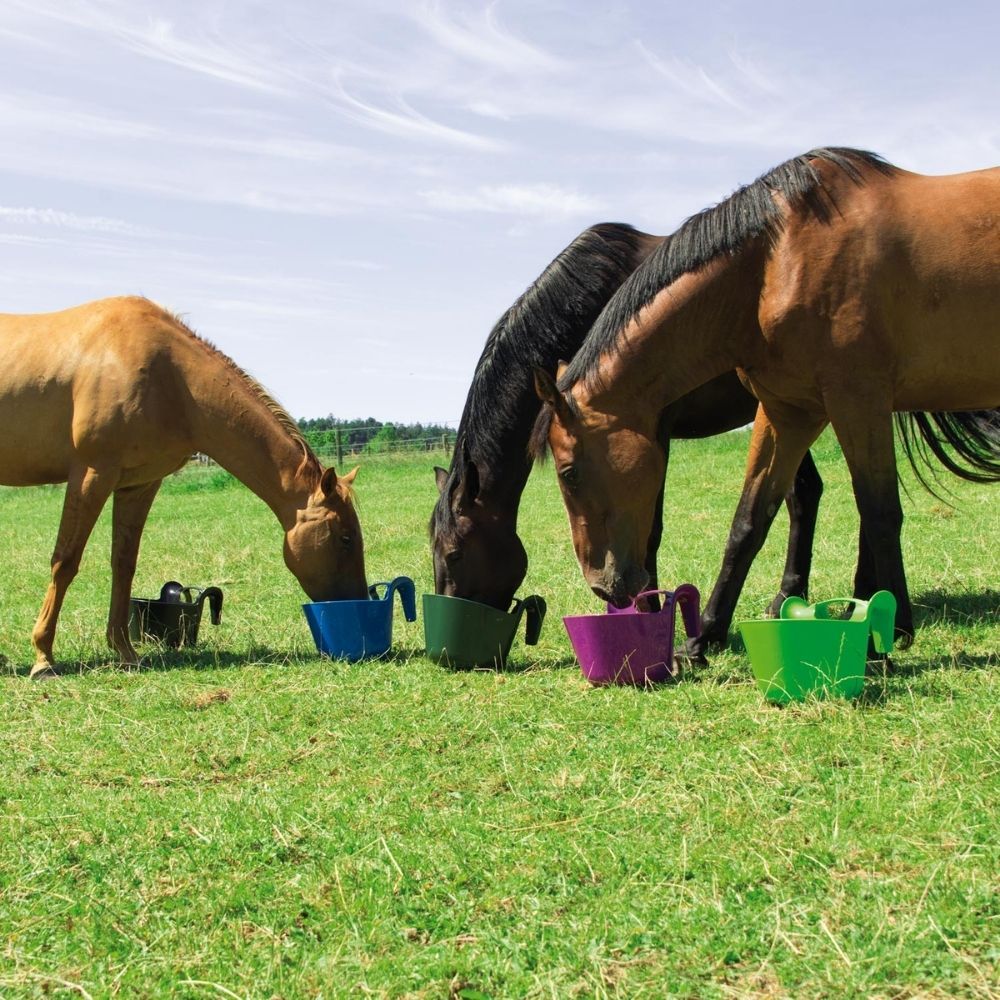 Portable tournament feeding 13,5 L