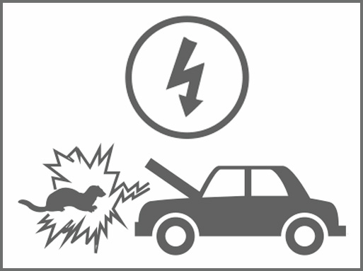 Stop martre pour voiture - SWISSINNO 