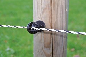 Premium-Strangisolator X20