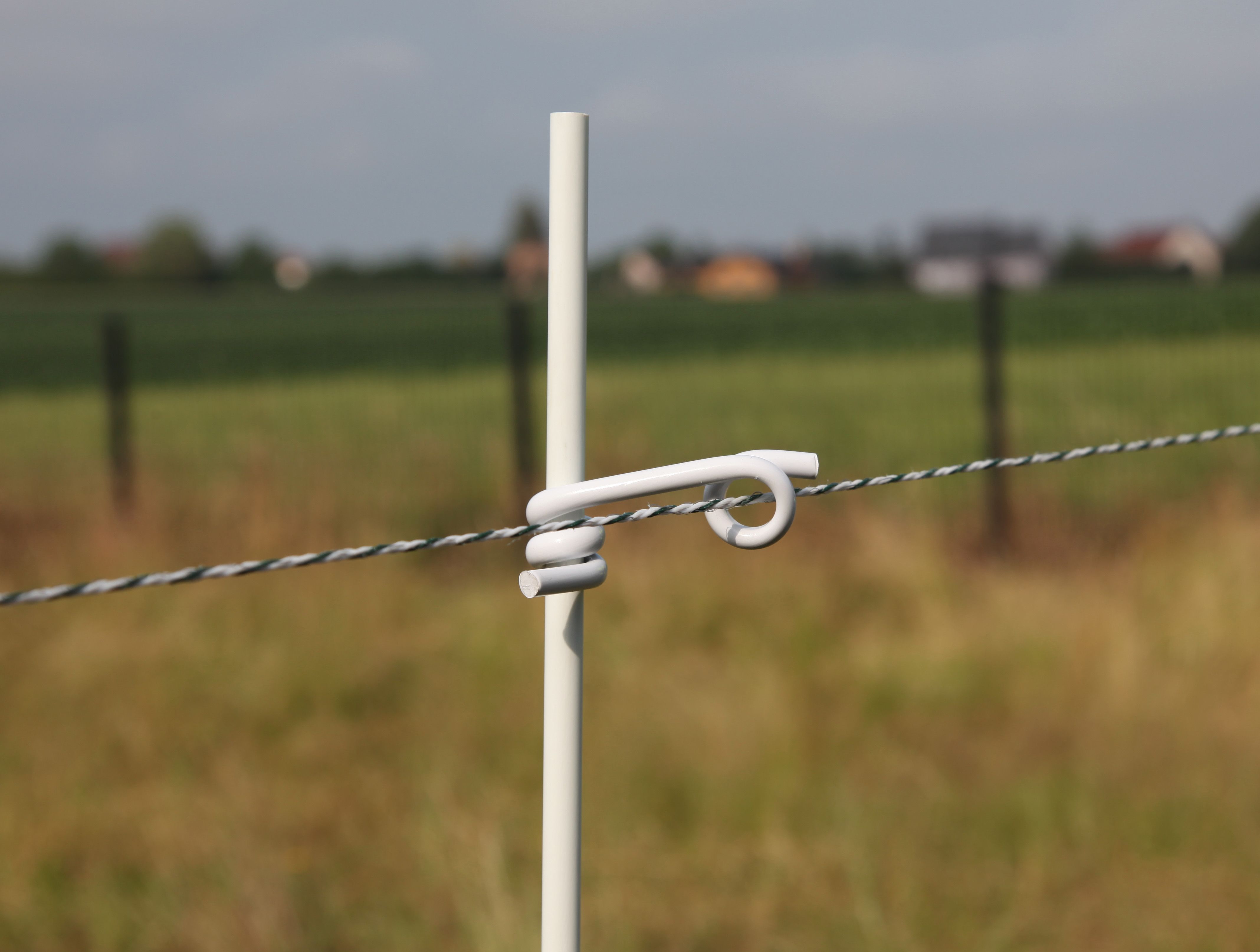 10 mm pigtail insulator X50