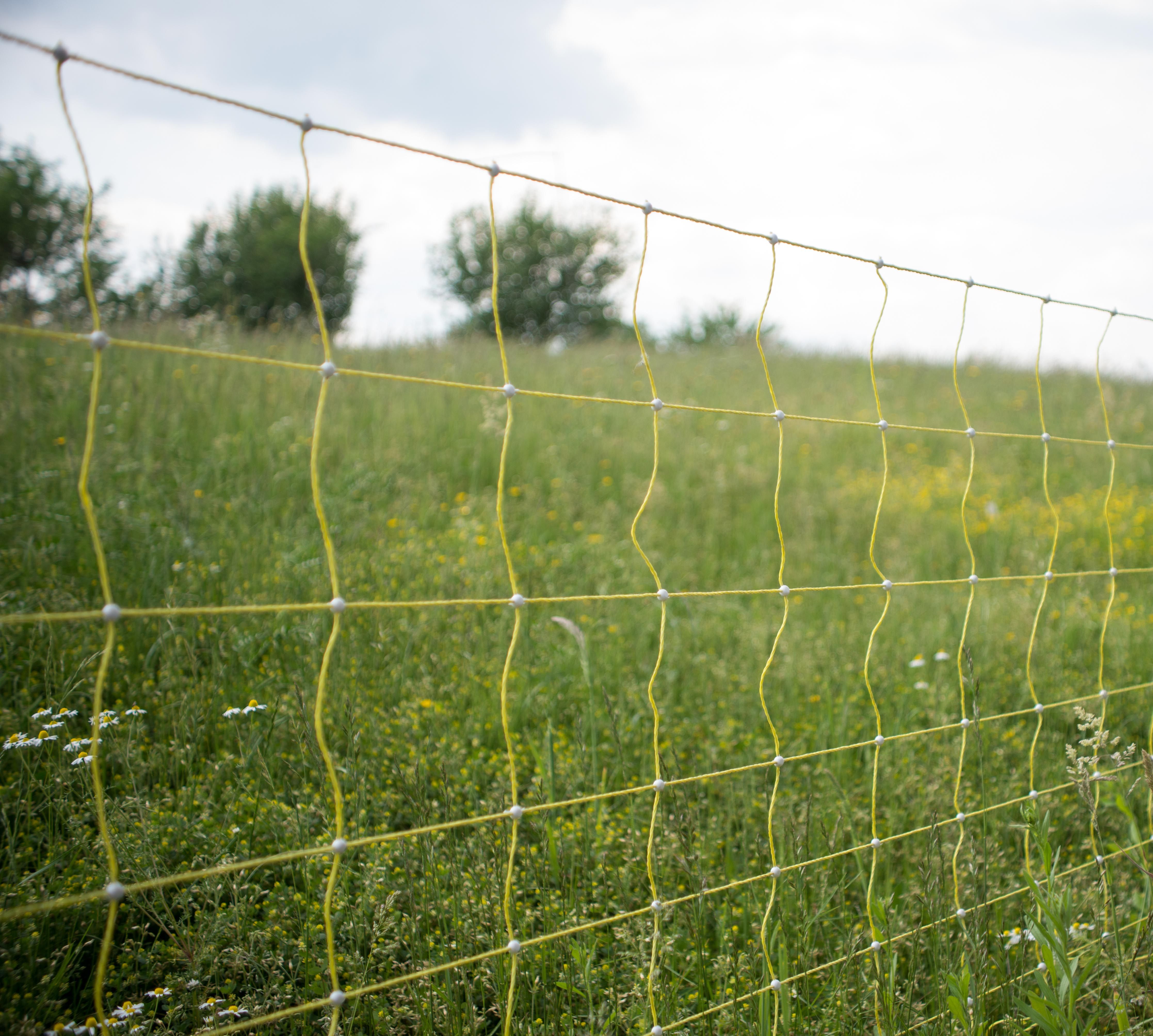 Sheep net 0,90 m - 50m BEAUMONT