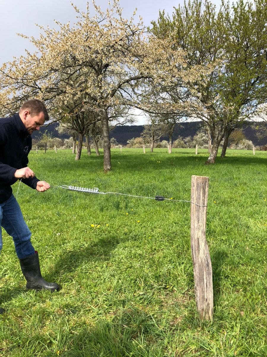 Temperature equalisation spring x2 - Horizont 