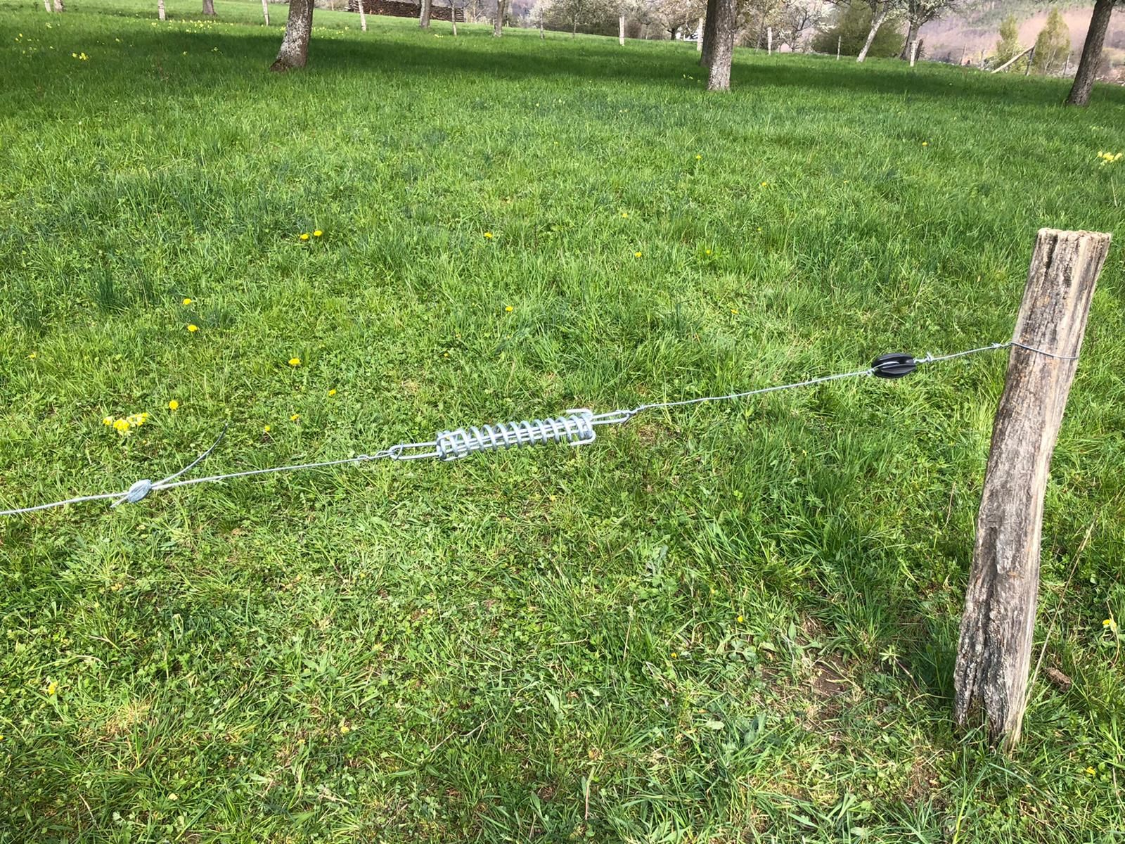 Temperature equalisation spring x2 - Horizont 