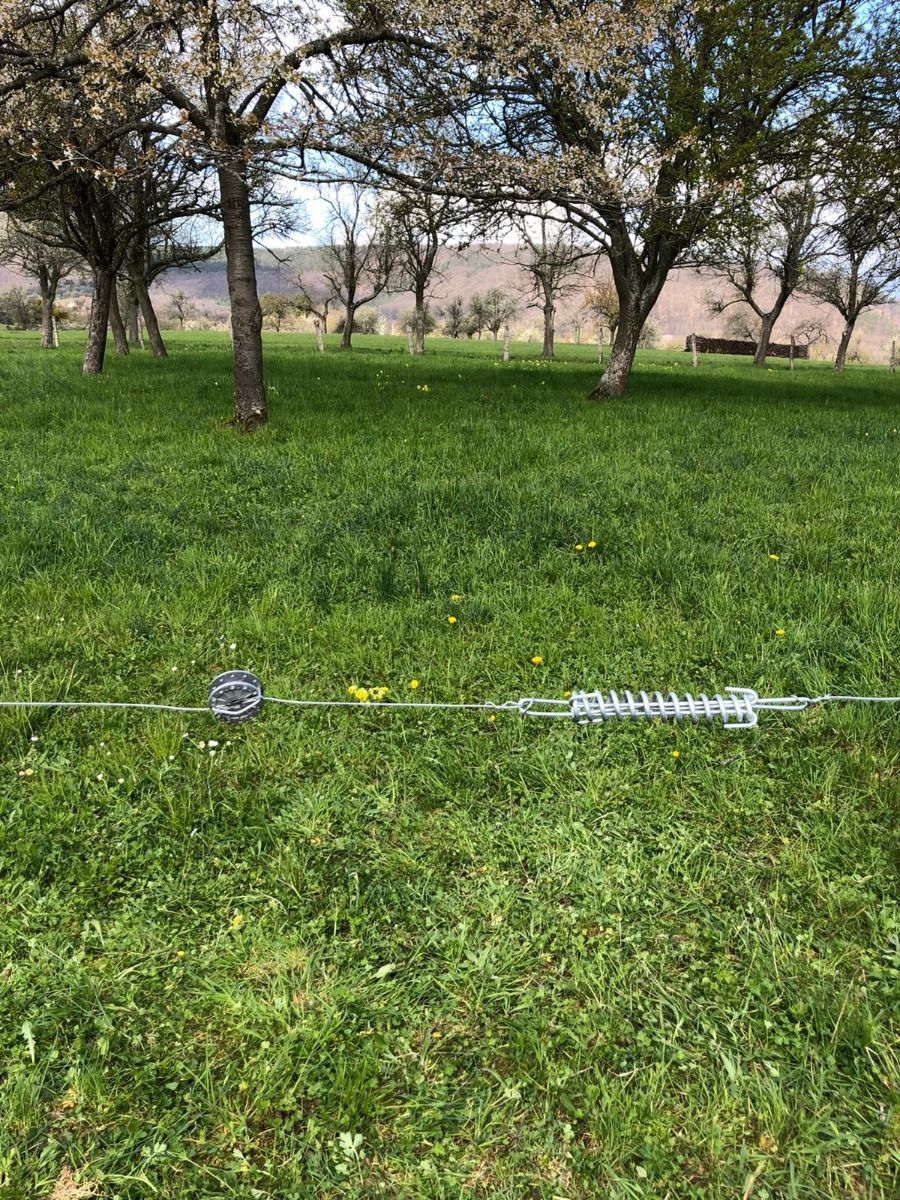 Temperature equalisation spring x2 - Horizont 