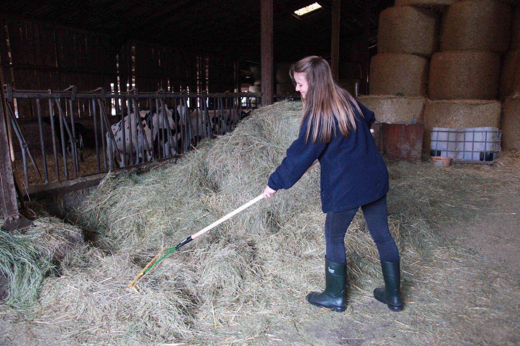 Râteau 16 dents, 64 cm