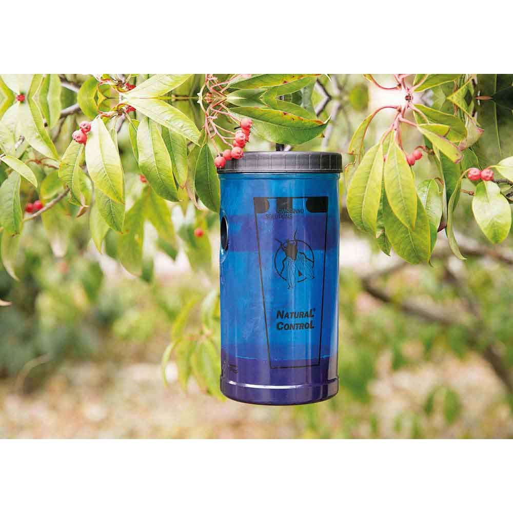 Piège à mouches Natural Control