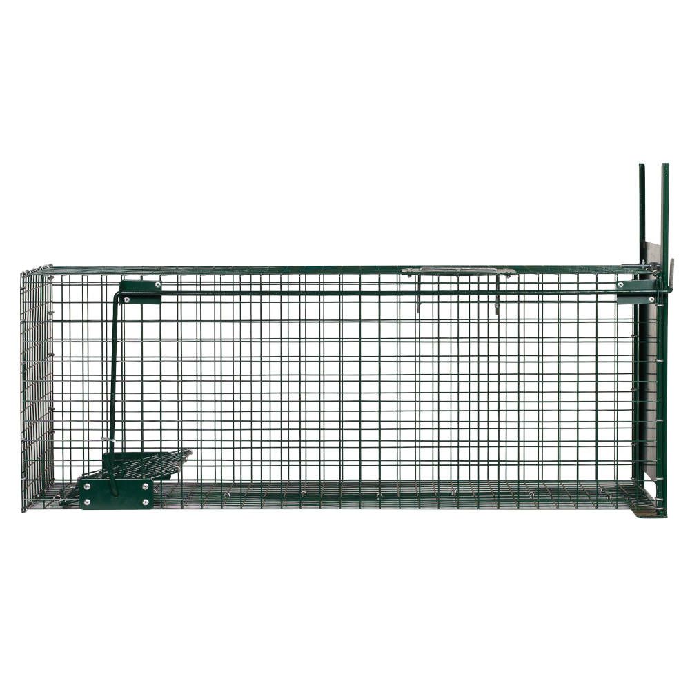  Boîte à fauve, 1 entrée, 82 x 32 x 31 cm - BOXTRAP