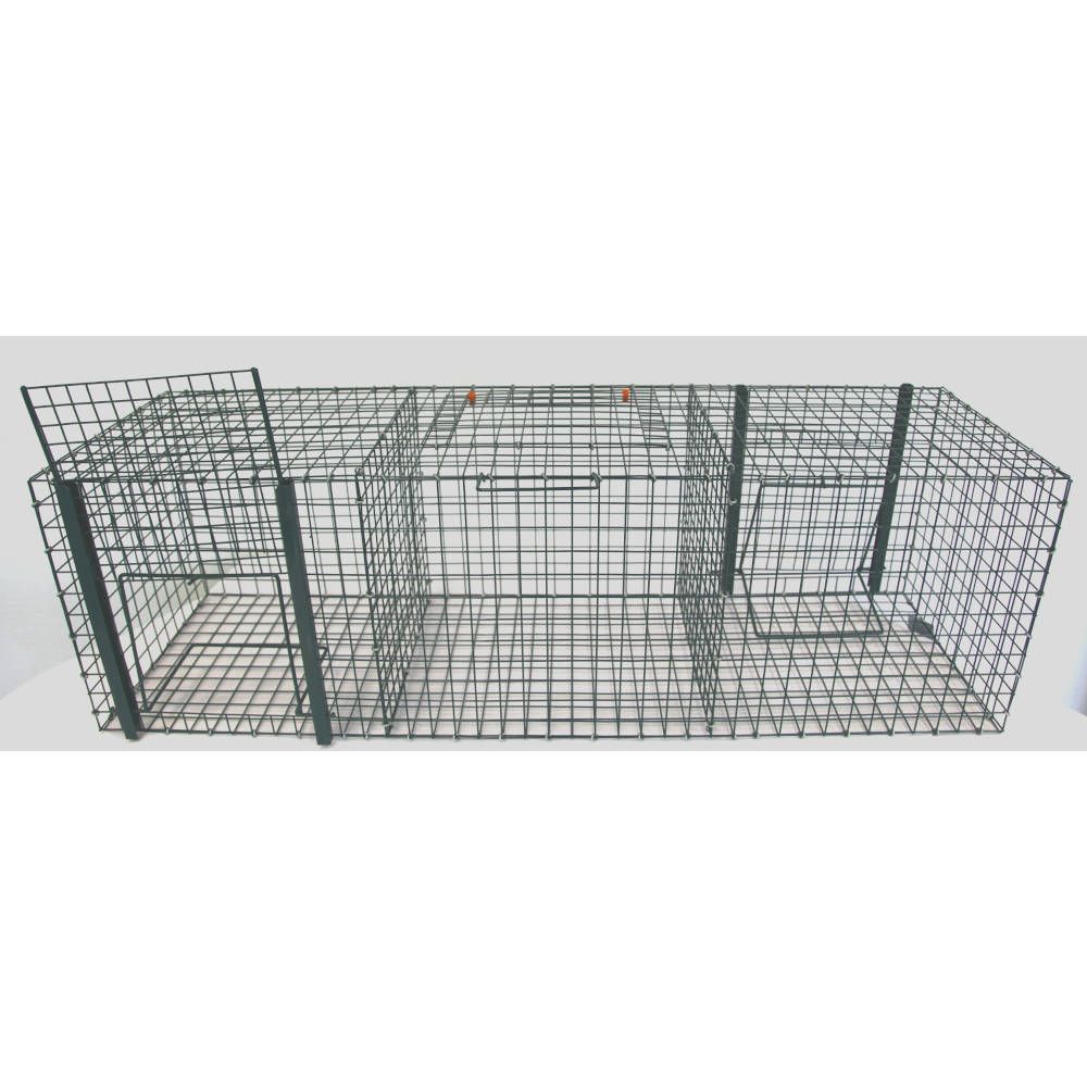 Krähenfalle Mit 3 Kammern