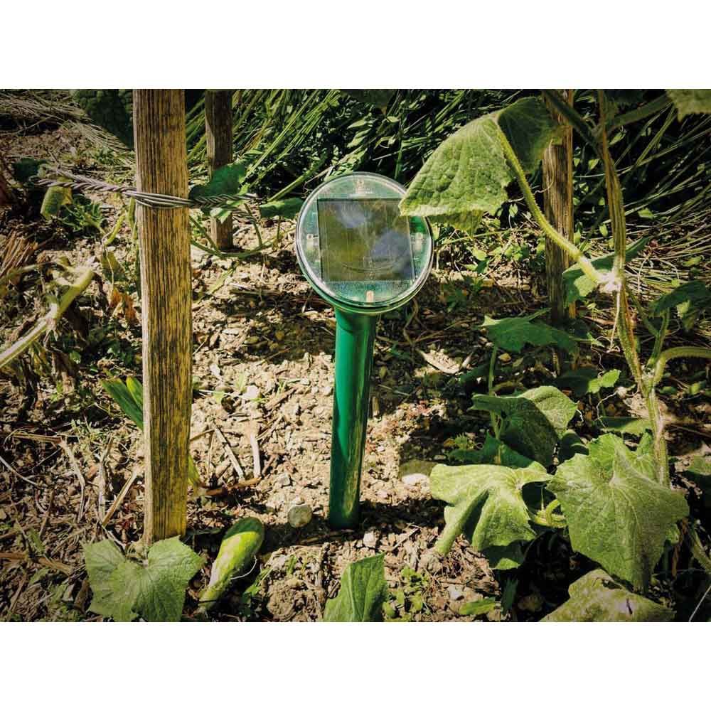 Solar-Maulwurf-Vertreiber