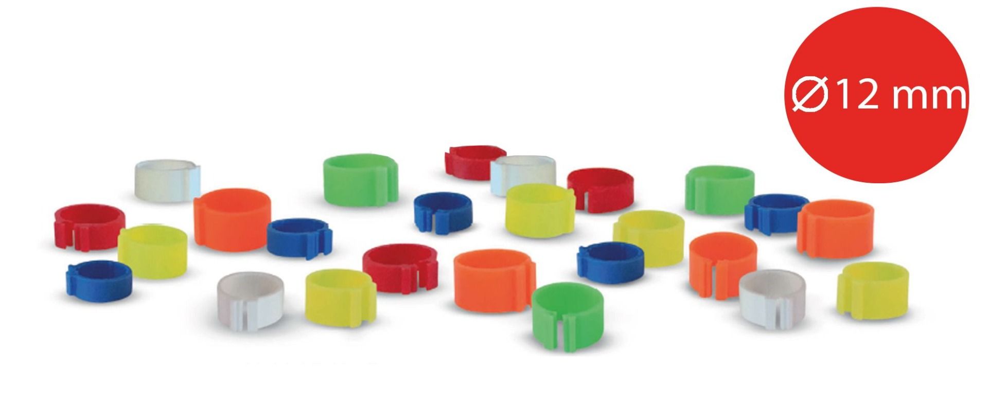 Ring with clips 12 mm by 100