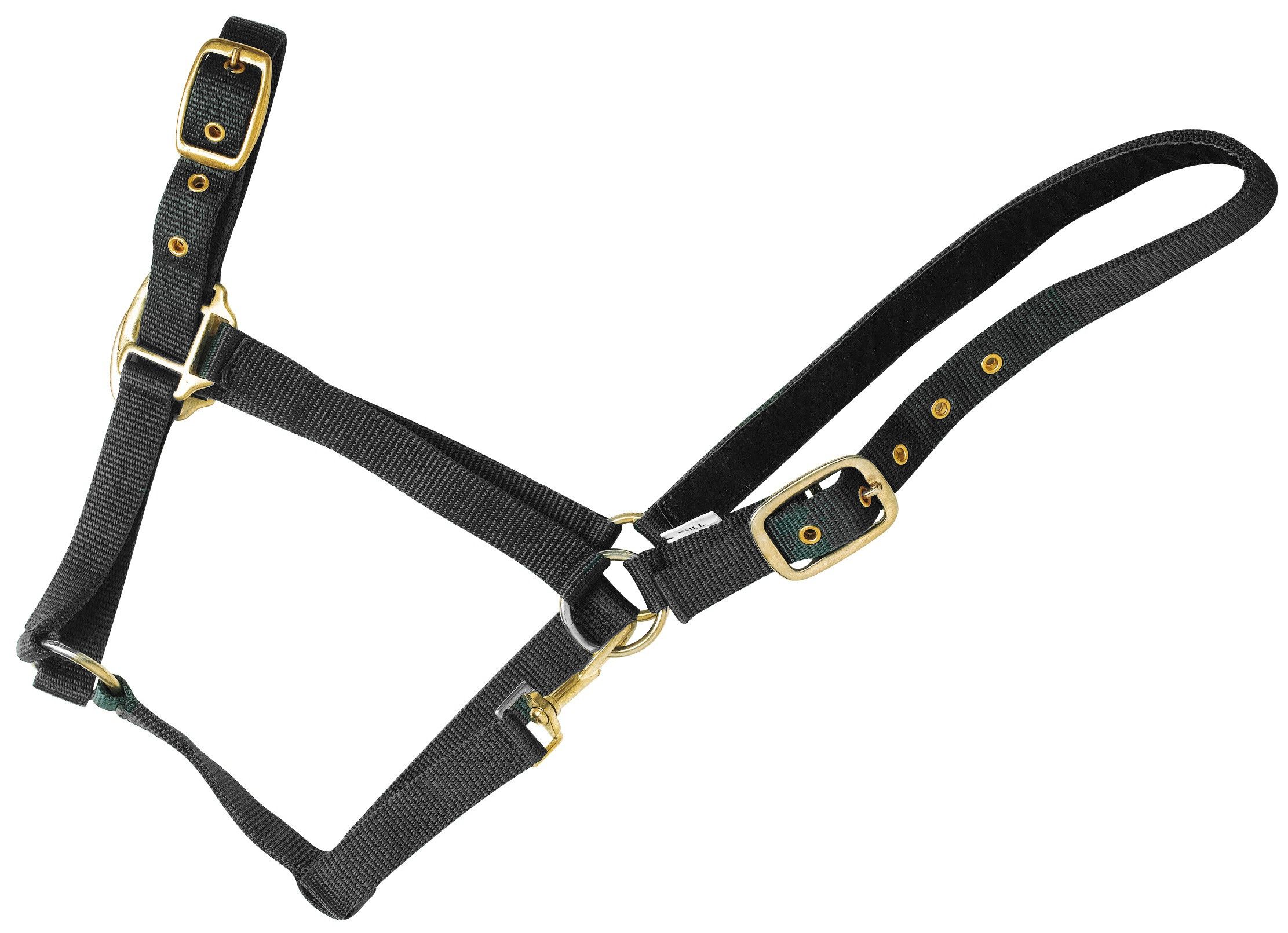 High-quality nylon headcollar - thoroughbred - black