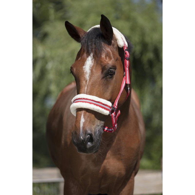 NORTON “Mouton synthétique doux” headcollar