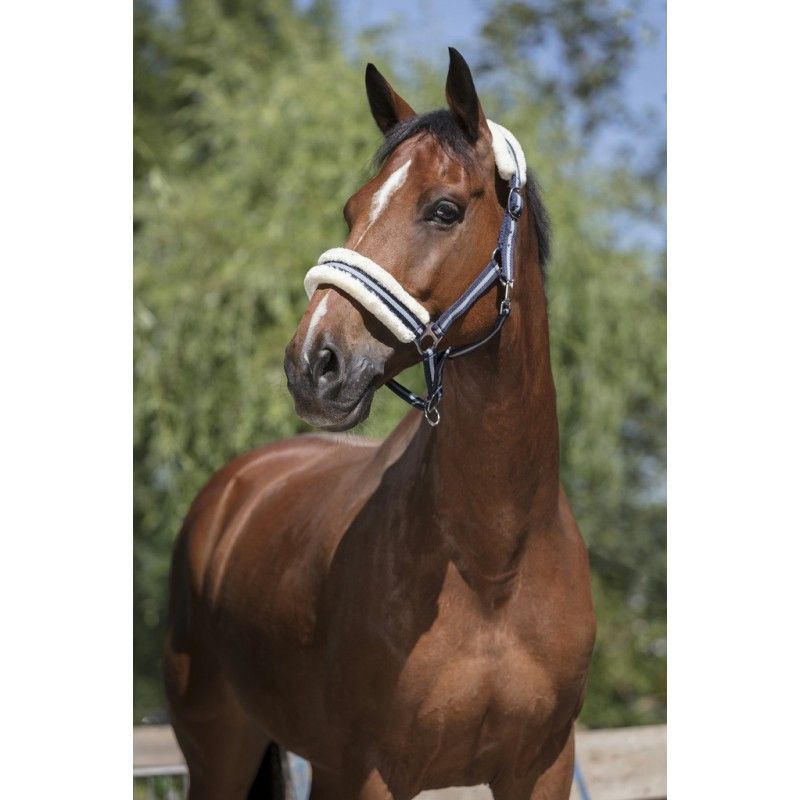 NORTON “Mouton synthétique doux” headcollar