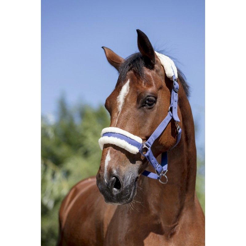 NORTON “Mouton synthétique doux” headcollar