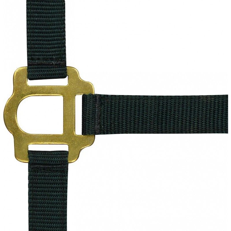 RIDING WORLD Headcollar