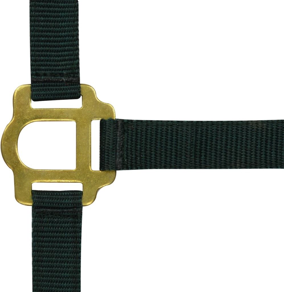 RIDING WORLD Headcollar