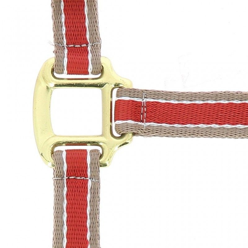 EQUITHÈME Polyfun burgundy halter for Thoroughbred 