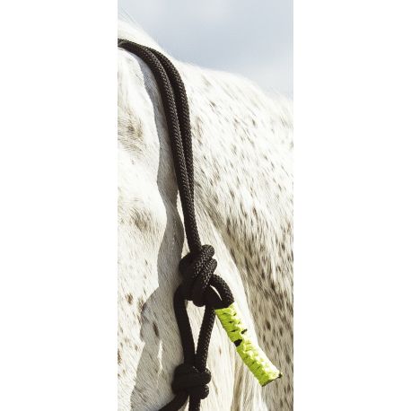 NORTON “Fun colour” Ethological headcollar and lead rope  black/ neon green thoroughbred