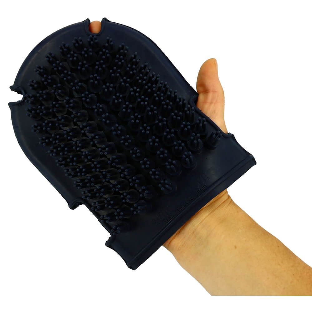 Currying Glove + Brush