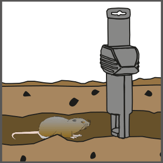 Vole trap SWISSINNO SOLUTIONS