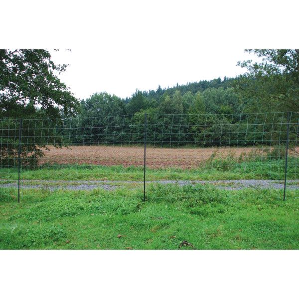 Filet anti-loup 25 m, h 170 cm, horinetz super