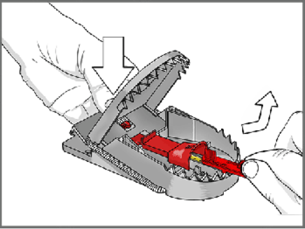 4 pièges à rats SUPERCAT PRO - SWISSINNO